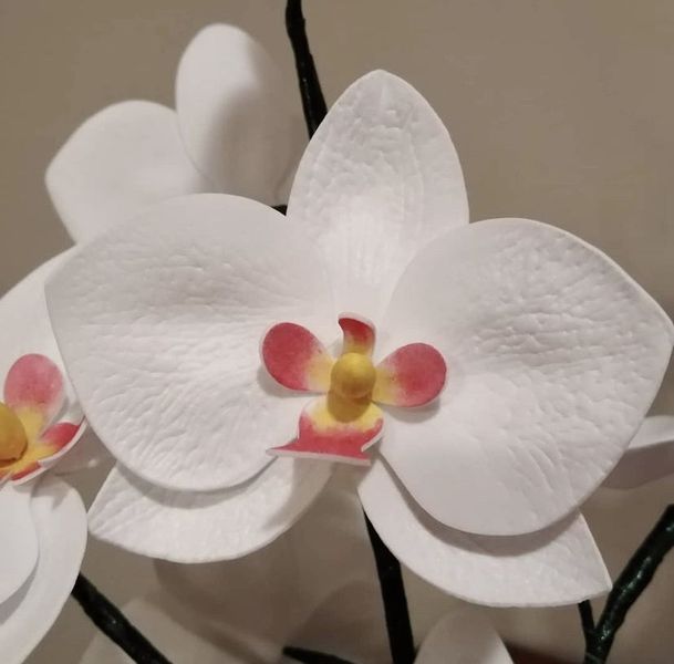 Комплект квітів "Орхідея" EVA 1мм Білий 8089 фото