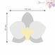 Комплект квітів "Орхідея" EVA 1мм Білий 8089 фото 5